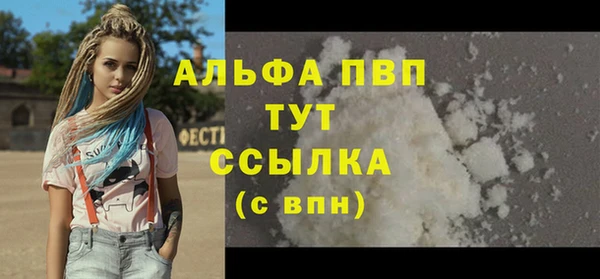 стафф Дмитриев