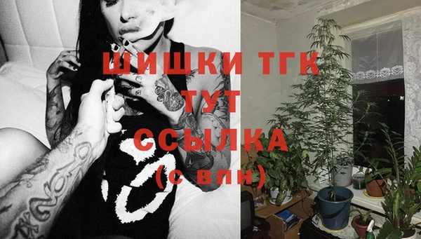 стафф Дмитриев