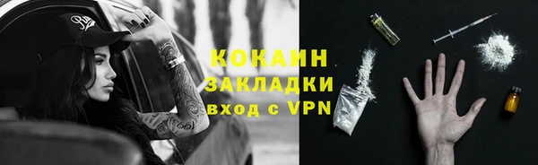 стафф Дмитриев