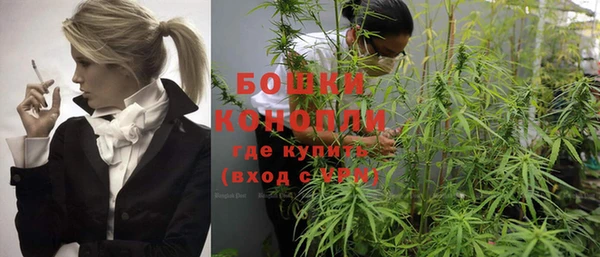 стафф Дмитриев