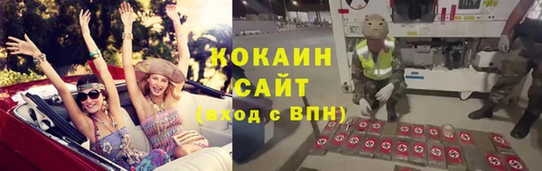 стафф Дмитриев